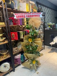 Canlı Saksı