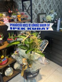 Canlı Saksı